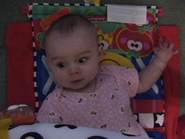 Whoa! There's a Toy Hanging Down!