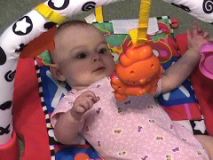Trying to Grab the Toy!