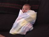 baby_burreto.jpg