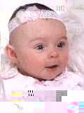 olan2
