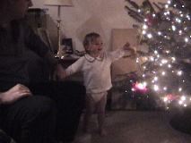 Pointing at Tree