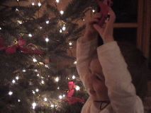 Holding the Bow