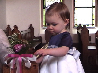 flowerandbows