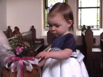 flowerandbows